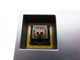 Feenix-Collection-Autore-18