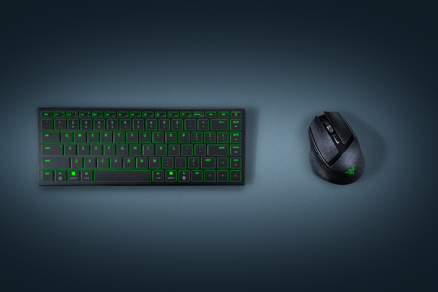 Razer Bundle Ergonomico fa39e